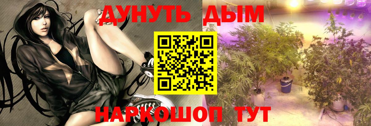 Бошки Шишки планчик Сургут
